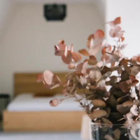 3 Bedroom, Kitchen, Wifi, Workspace, Coffee, Διαμέρισμα Άσσελτ